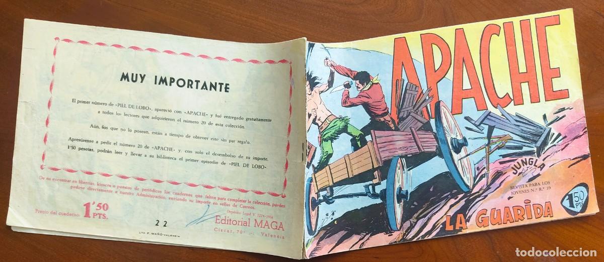 Tebeos: APACHE N&ordm; 22 - EDITORIAL MAGA - ORIGINAL DE &Eacute;POCA - Foto 2