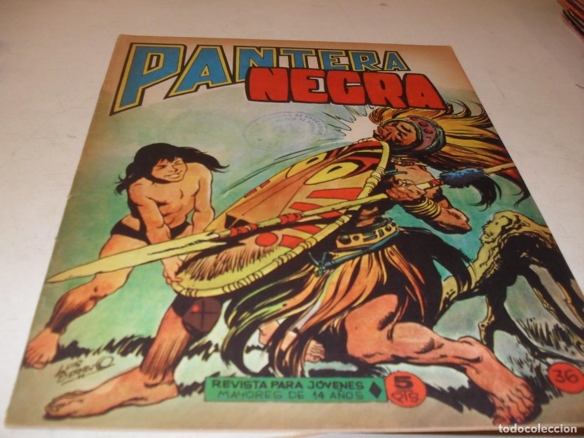 Tebeos: (ORIGINAL)PANTERA NEGRA N&ordm; 36,CON CROMOS ESTAMPAS DE AFRICA 141 AL 144,DE 65,MAGA 1965