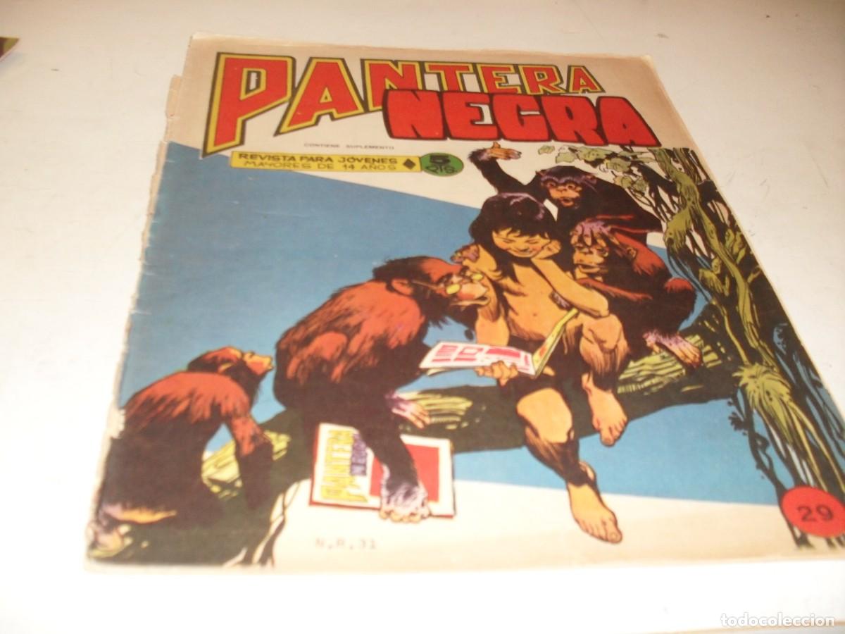BDs: (ORIGINAL)PANTERA NEGRA N&ordm; 29,CON CROMOS ESTAMPAS DE AFRICA 113 AL 116,DE 65,MAGA 1965
