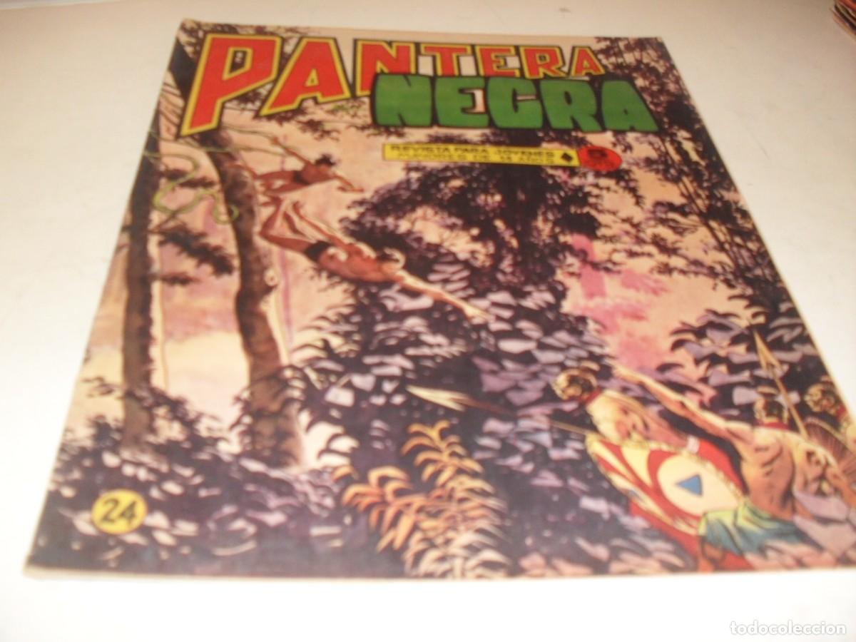 Giornalini: (ORIGINAL)PANTERA NEGRA N&ordm; 24,CON CROMOS ESTAMPAS DE AFRICA 93 AL 96,DE 65,MAGA 1965