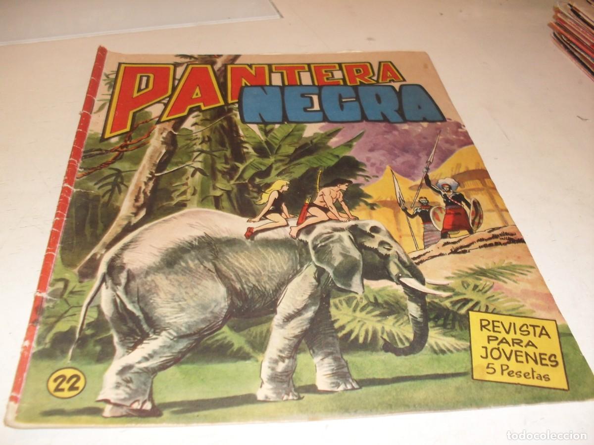 Giornalini: (ORIGINAL)PANTERA NEGRA N&ordm; 22,CON CROMOS ESTAMPAS DE AFRICA N&ordm; 85 AL 88,DE 65,MAGA 1965