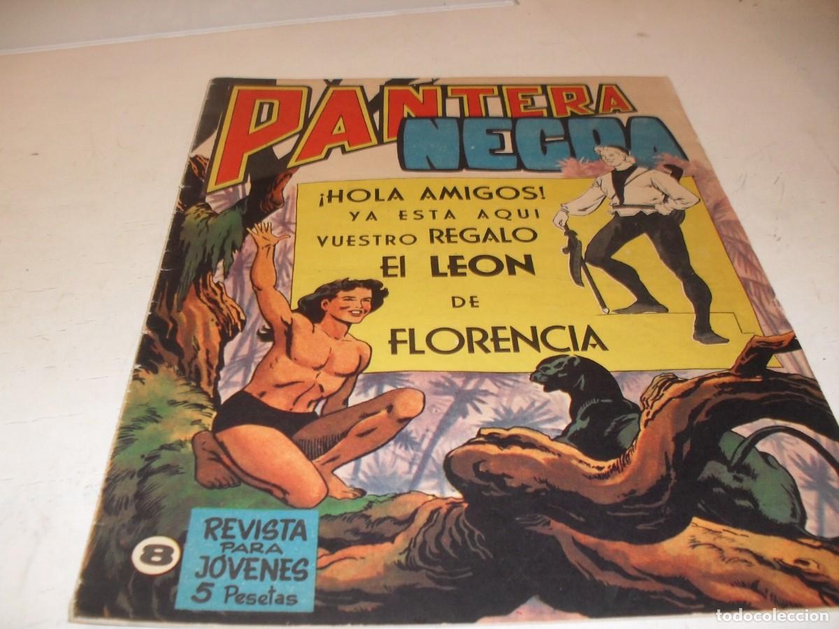 Giornalini: (ORIGINAL)PANTERA NEGRA N&ordm; 8,CON CROMOS ESTAMPAS DE AFRICA N&ordm; 29 AL 32,DE 65,MAGA 1965