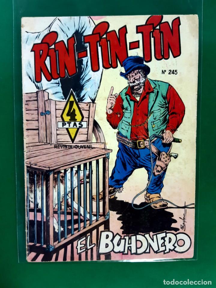 RIN-TIN-TIN Nº245 EDITORIAL MARCO EXCELENTE ESTADO (Tebeos y Comics - Marco - Rin-Tin-Tin)