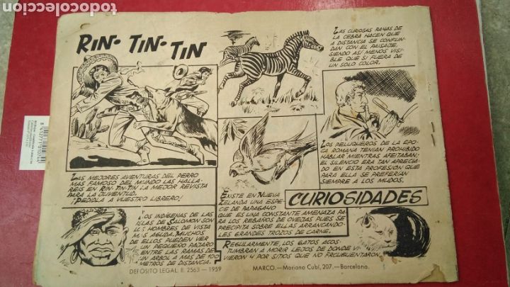 Tebeos: Simba -kan , la muerte acecha , n&uacute;mero 42 - Foto 4