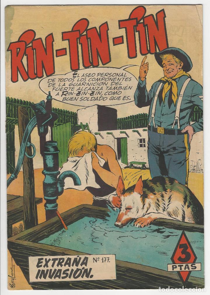 Tebeos: Marco. Rin tin tin. 177. - Foto 1
