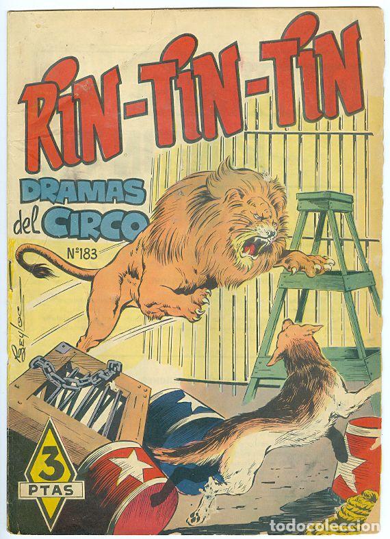 Tebeos: Marco. Rin tin tin. 183. - Foto 1