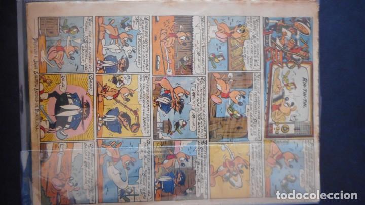 Tebeos: RIN TIN TIN N&ordm; 183 / C-11 - Foto 2