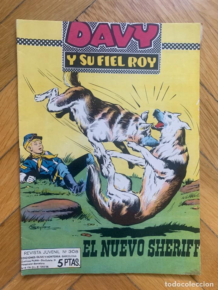 Tebeos: Davy y su Fiel Roy n&ordm; 308 - D6 - Foto 1