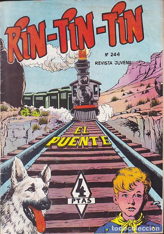 Tebeos: COMIC COLECCION RIN TIN TIN MARCO N&ordm; 244 - Foto 1