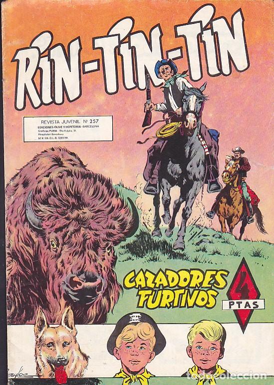 Tebeos: COMIC COLECCION RIN TIN TIN MARCO N&ordm; 257 - Foto 1