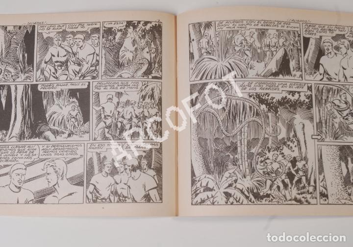Tebeos: RED DIXON n&ordm; 7 - &iexcl;ALIADOS! - Editorial MARCO - Foto 3
