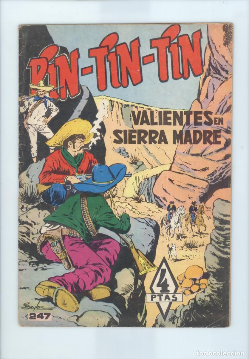 Tebeos: Marco. Rin tin tin. 247 - Foto 1
