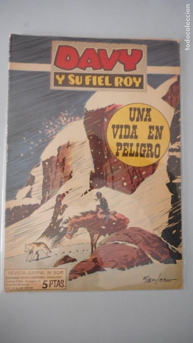 Tebeos: DAVY Y SU FIEL ROY N&ordm; 306 / C-9 - Foto 1