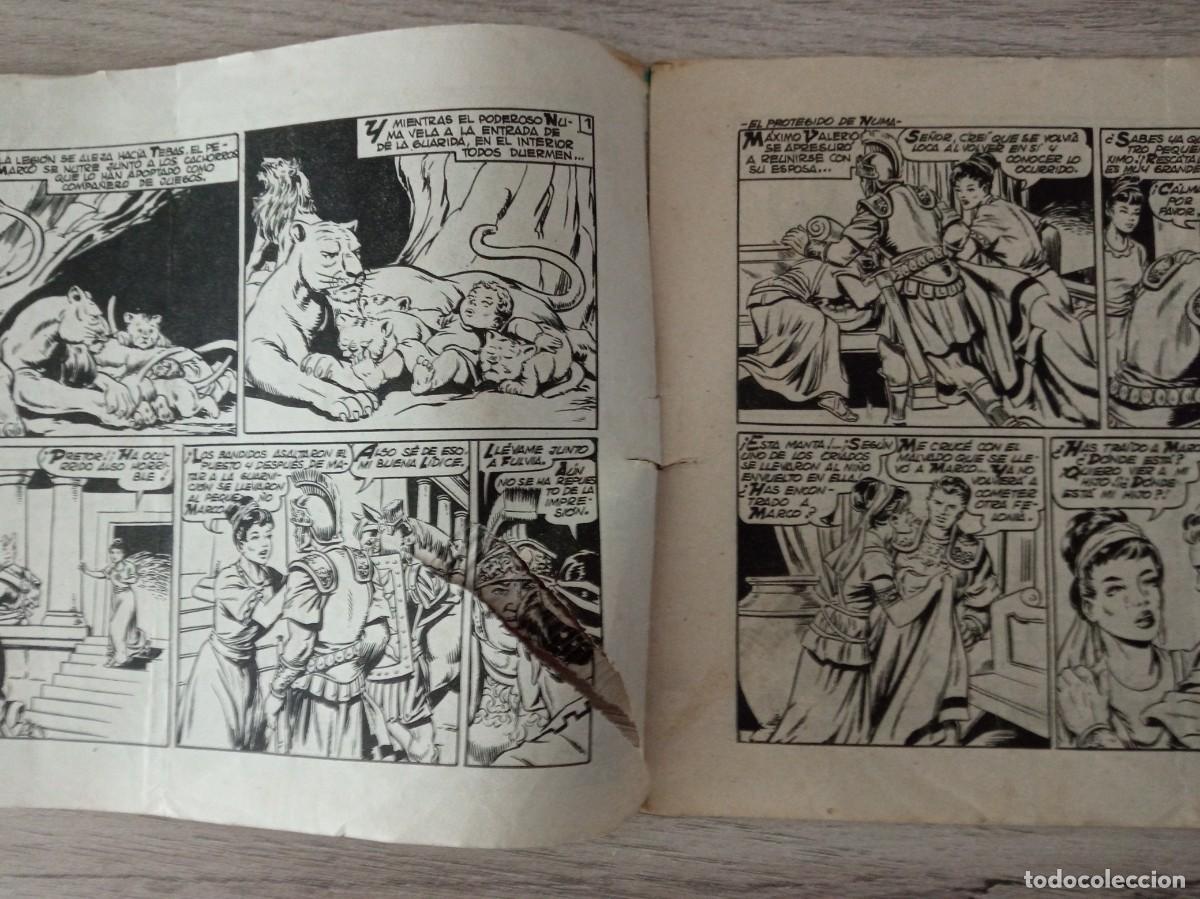 Tebeos: SIMBA-KAN, REY DE LOS LEONES, N&ordm; 2 - Foto 2