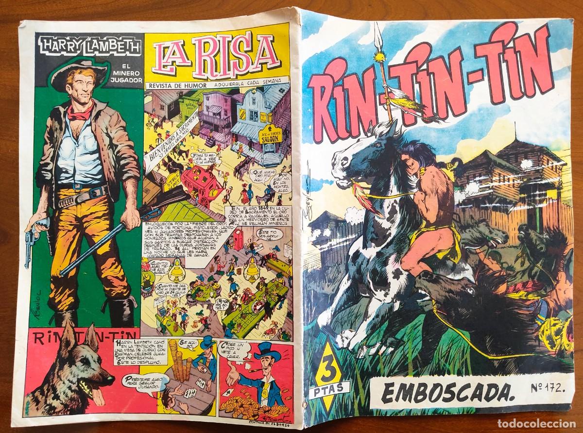 Tebeos: RIN-TIN-TIN N&ordm; 172 - EDITORIAL OLIVE Y HONTORIA - Foto 2