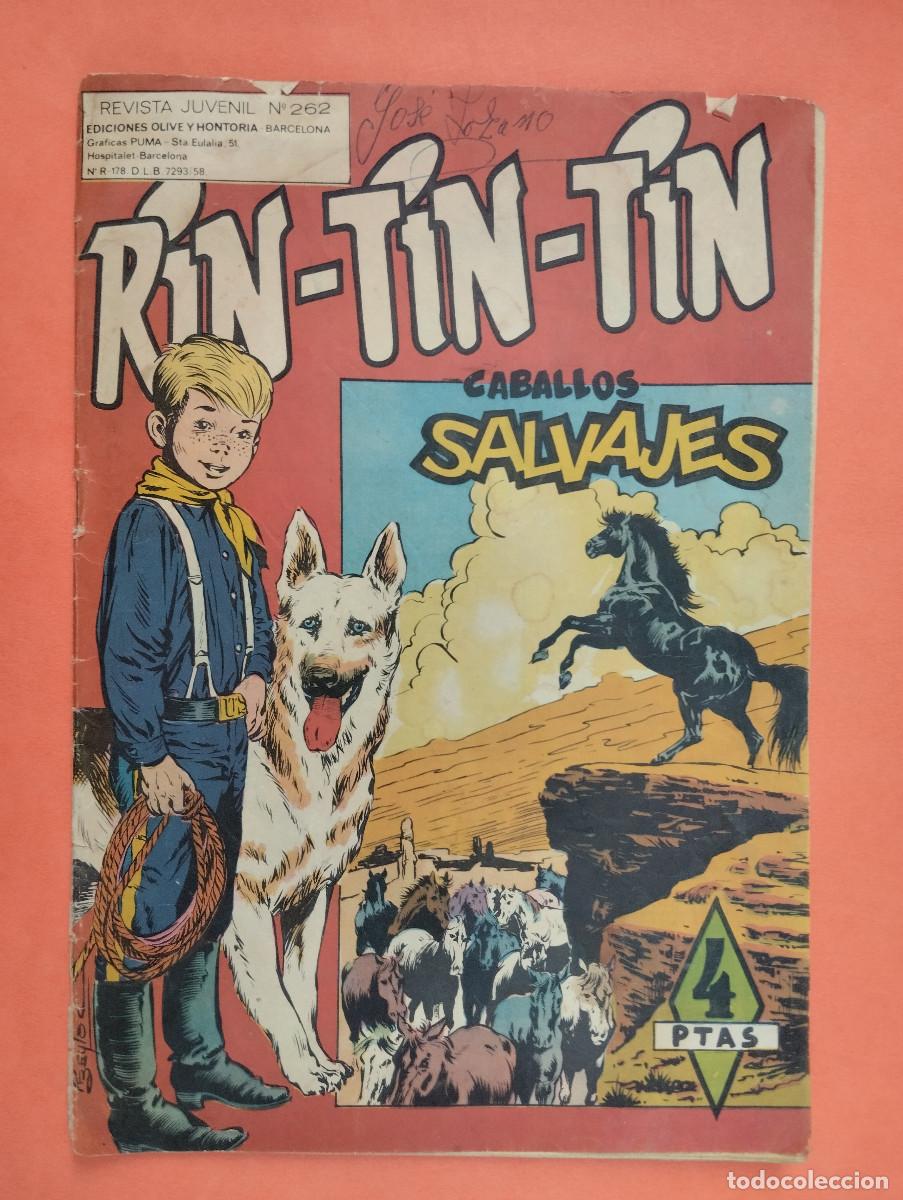 Tebeos: RIN TIN TIN - N&ordm; 262 - CABALLOS SALVAJES - EDICIONES OLIVE Y HONTORIA