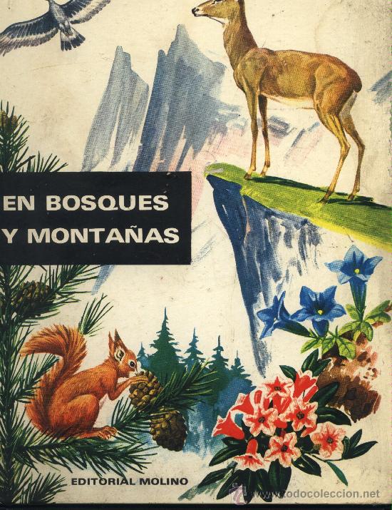 Tebeos: En bosques y montañas.Giuseppe Zanini.Editorial Molino.1967. - Foto 1 - 22979463