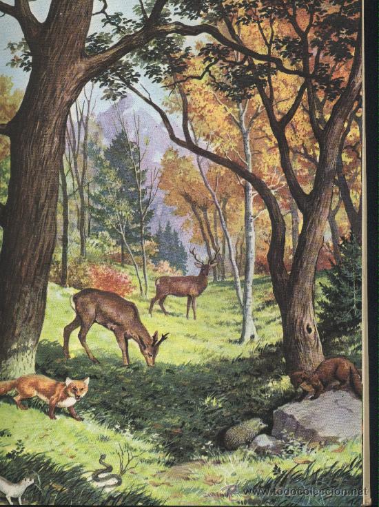 Tebeos: En bosques y montañas.Giuseppe Zanini.Editorial Molino.1967. - Foto 2 - 22979463