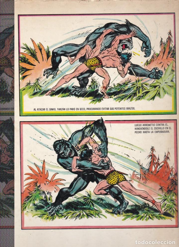 Tebeos: Tarzan de los Monos de Burne Hogarth - Foto 2
