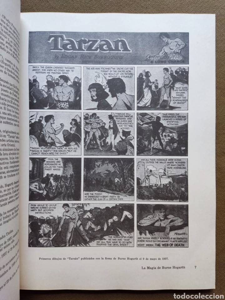 Tebeos: TARZAN DE LOS MONOS COMIC ILUSTRADOR BURNE HOGART MONTENA 1982 - Foto 4