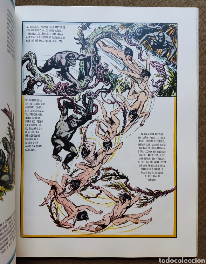 Tebeos: TARZAN DE LOS MONOS COMIC ILUSTRADOR BURNE HOGART MONTENA 1982 - Foto 5