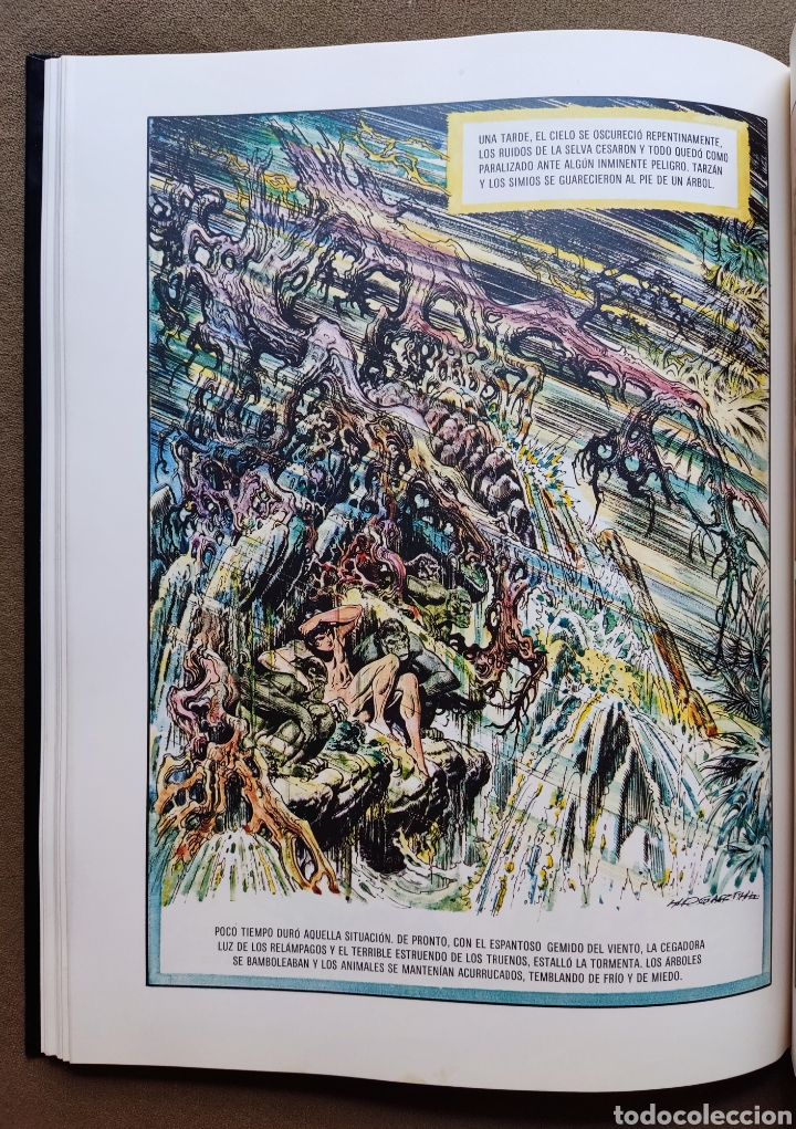 Tebeos: TARZAN DE LOS MONOS COMIC ILUSTRADOR BURNE HOGART MONTENA 1982 - Foto 6