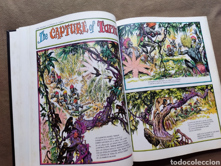 Tebeos: TARZAN DE LOS MONOS COMIC ILUSTRADOR BURNE HOGART MONTENA 1982 - Foto 7