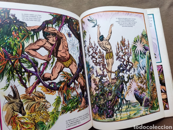 Tebeos: TARZAN DE LOS MONOS COMIC ILUSTRADOR BURNE HOGART MONTENA 1982 - Foto 8