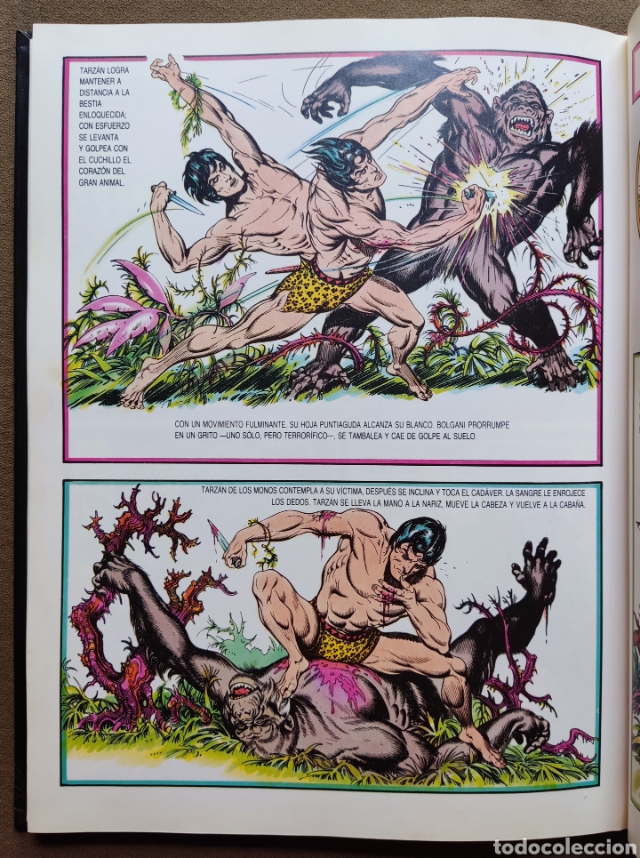 Tebeos: TARZAN DE LOS MONOS COMIC ILUSTRADOR BURNE HOGART MONTENA 1982 - Foto 9
