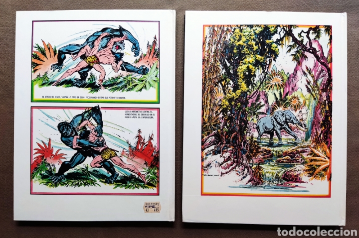 Tebeos: TARZAN DE LOS MONOS COMIC ILUSTRADOR BURNE HOGART MONTENA 1982 - Foto 11