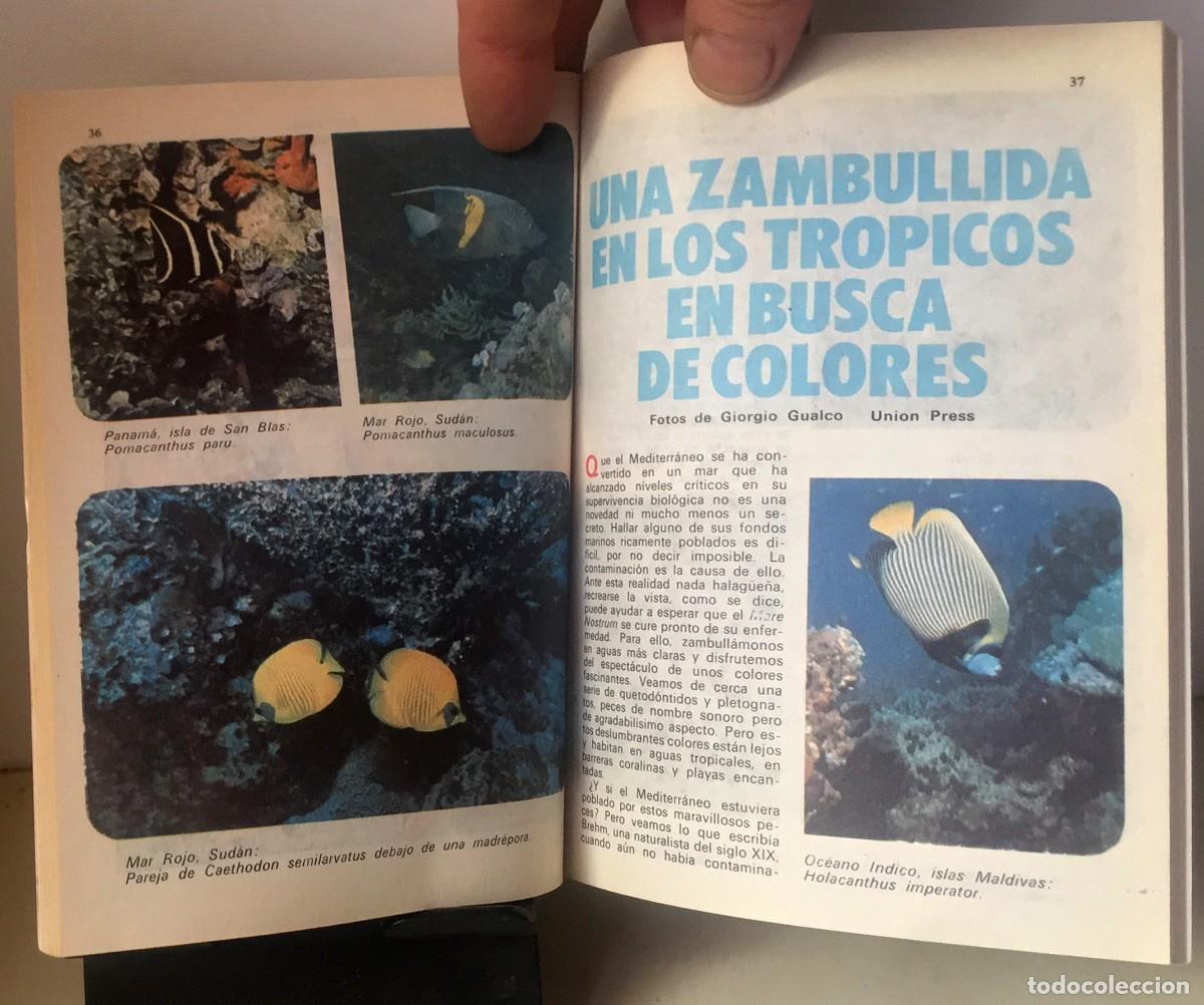 Tebeos: DON MIKI n&ordm; 226 - Foto 2
