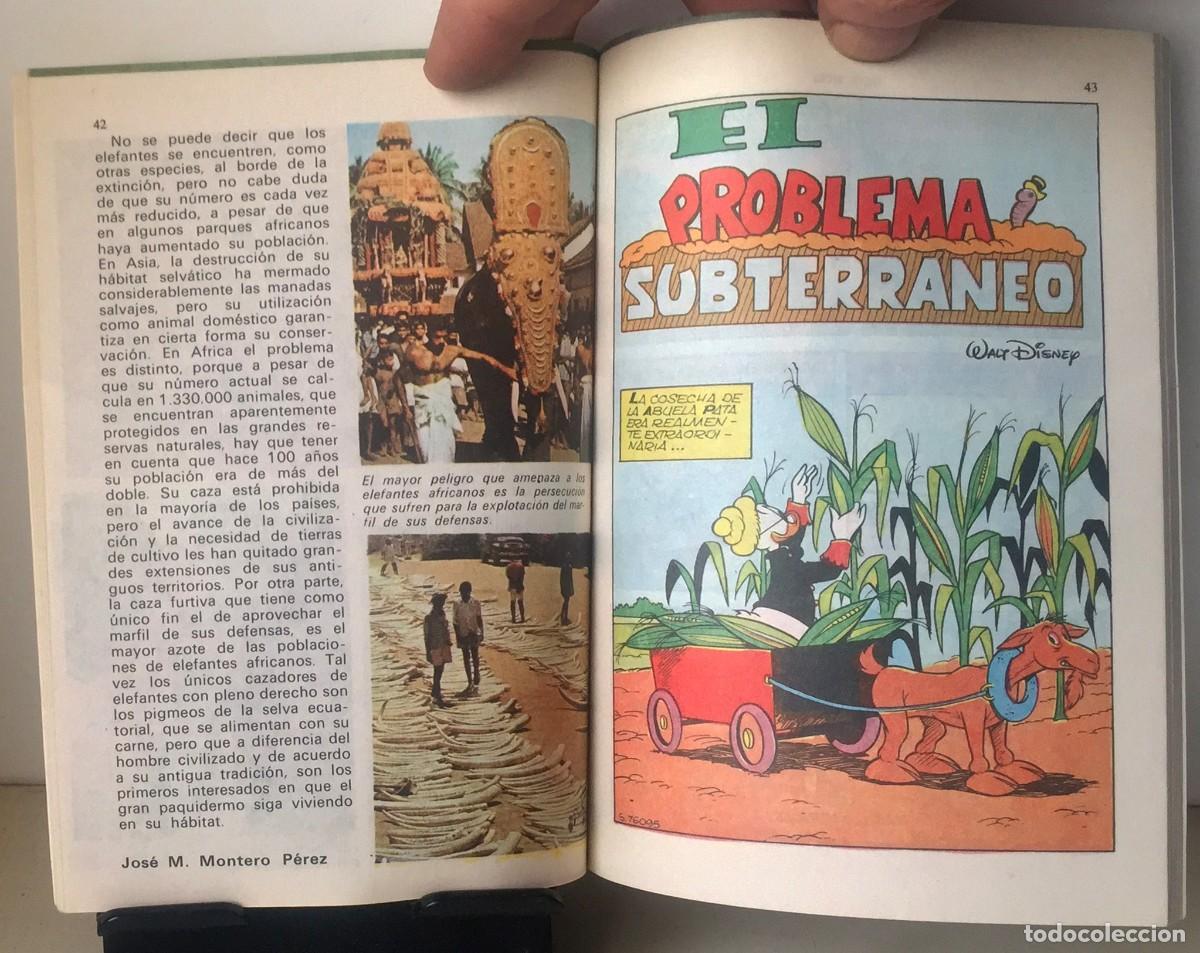 Tebeos: DON MIKI n&ordm; 237 - Foto 2