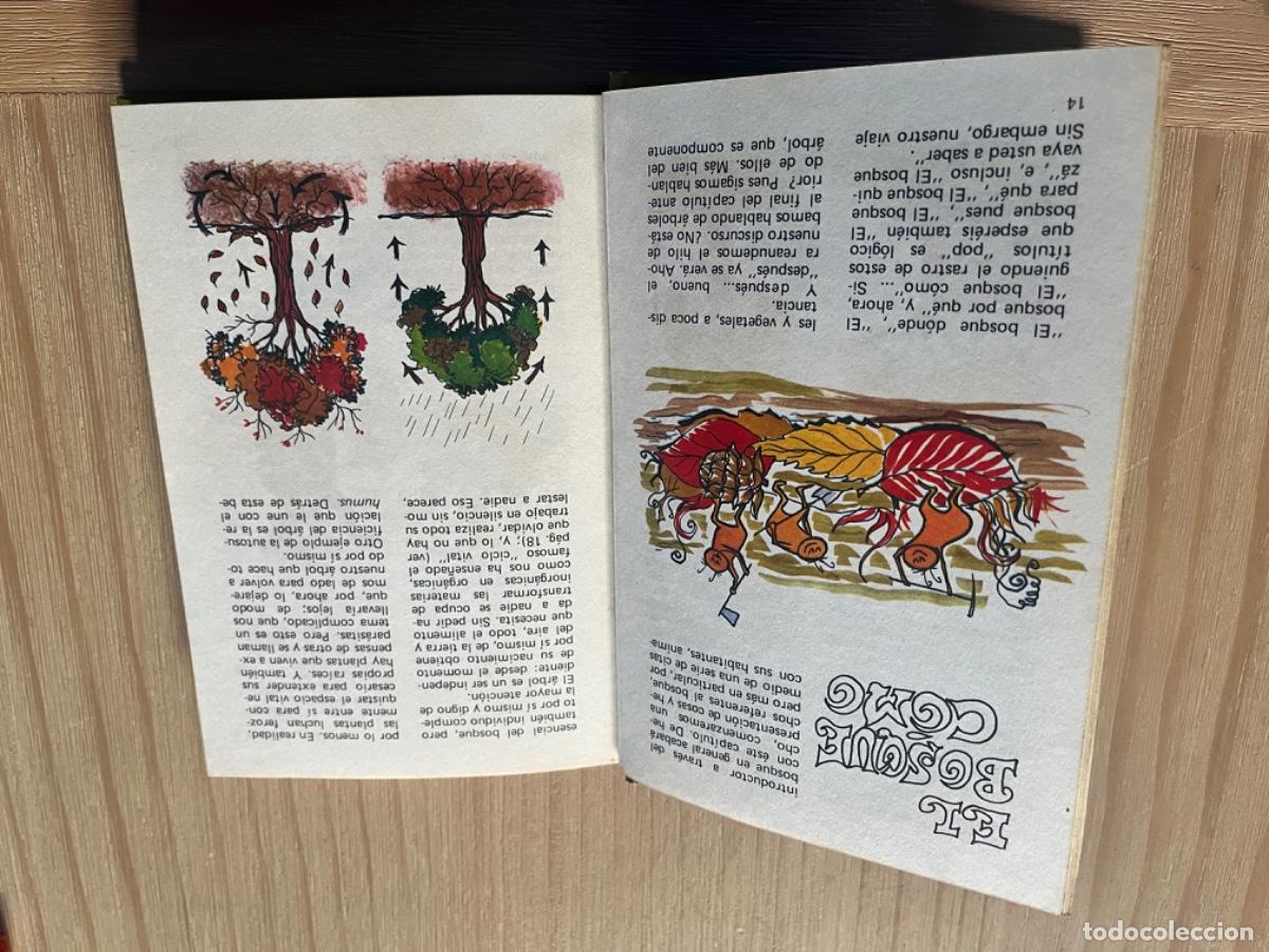 Tebeos: Ik17. MANUAL YOGUI MONTENA - Foto 4