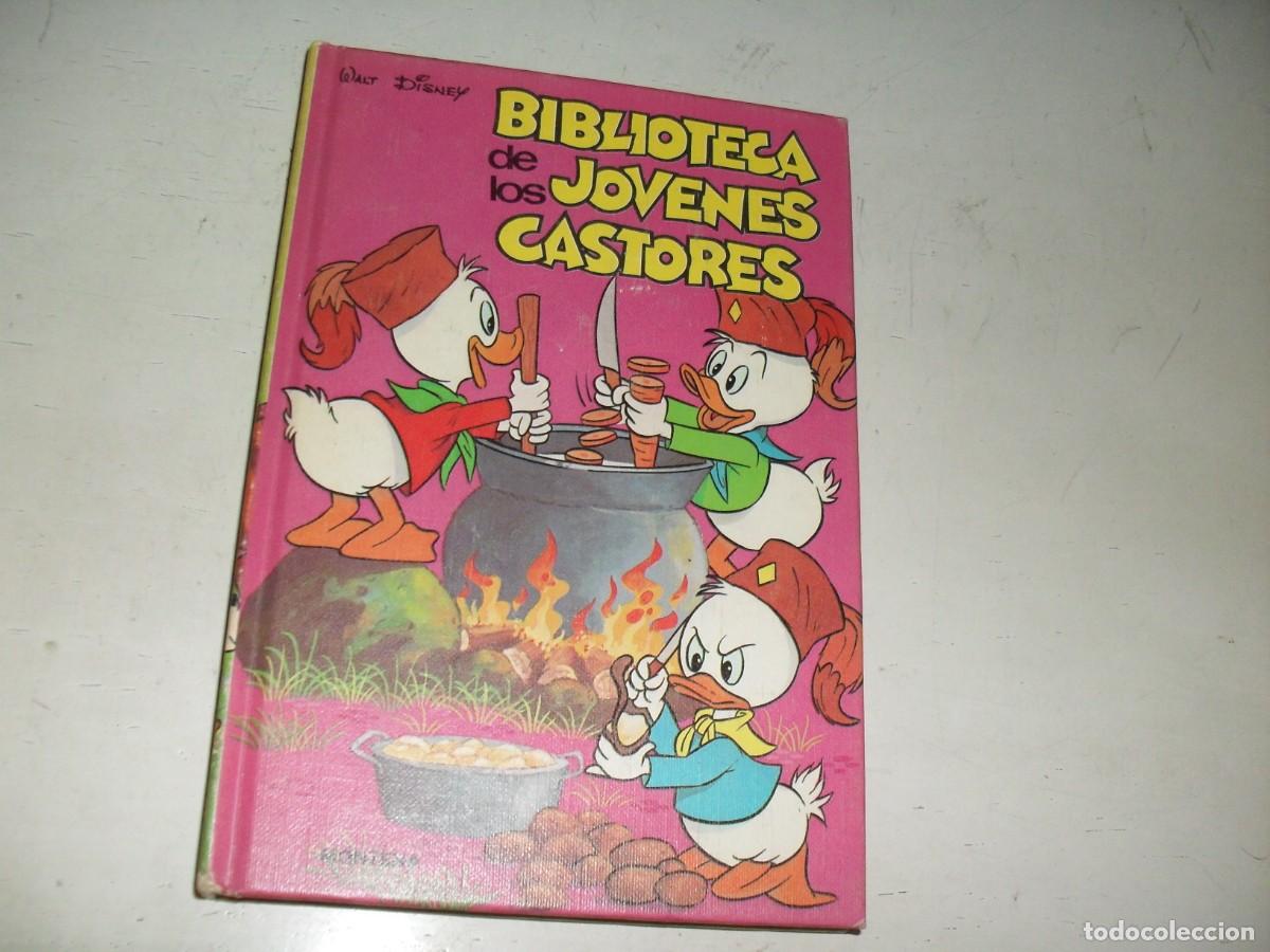 Tebeos: BIBLIOTECA DE LOS JOVENES CASTORES N&ordm;13,(DE 20).MONTENA,19
