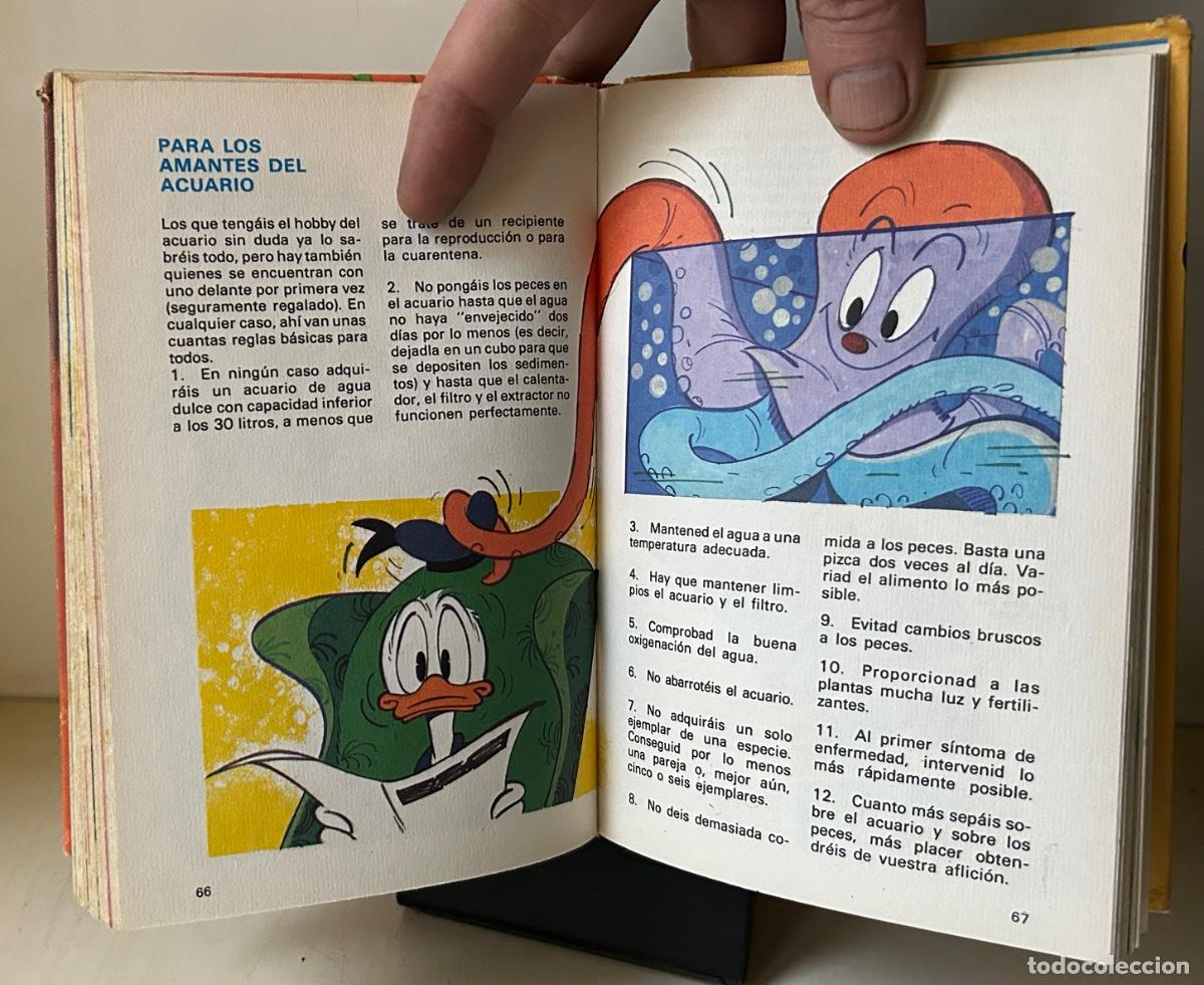Tebeos: BIBLIOTECA DE LOS J&Oacute;VENES CASTORES. N&ordm; 1 - Foto 6