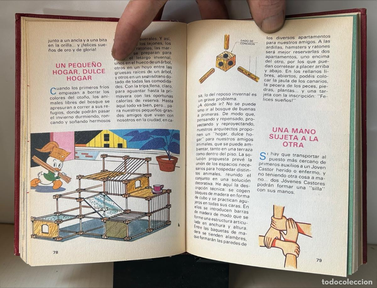 Tebeos: 4&ordm; MANUAL DE LOS J&Oacute;VENES CASTORES - Foto 6