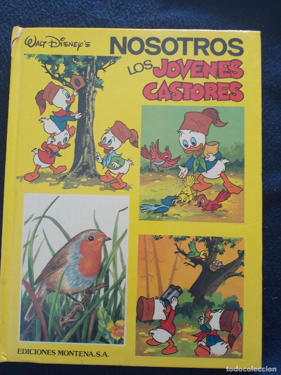 Tebeos: NOSOTROS LOS J&Oacute;VENES CASTORES - Foto 1