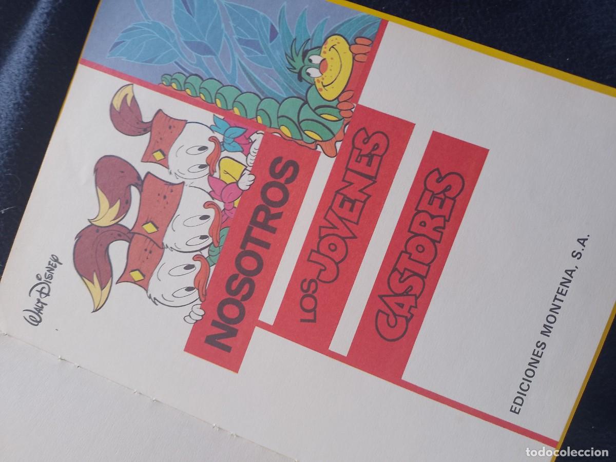Tebeos: NOSOTROS LOS J&Oacute;VENES CASTORES - Foto 5