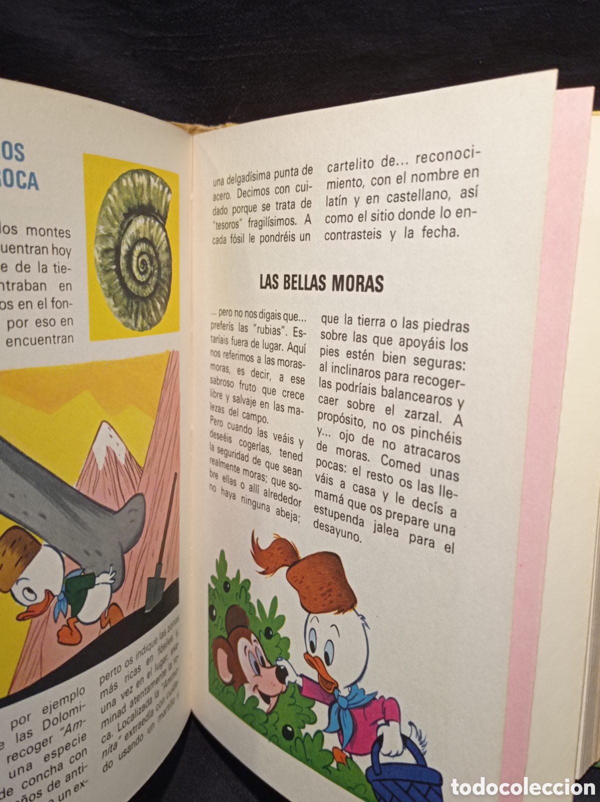 Tebeos: MANUAL DE LOS J&Oacute;VENES CASTORES. 1981. - Foto 4