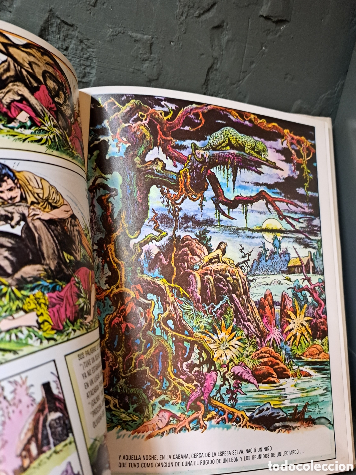 Tebeos: Comic Tarzan de los monos. Burne Hogarth - Foto 3