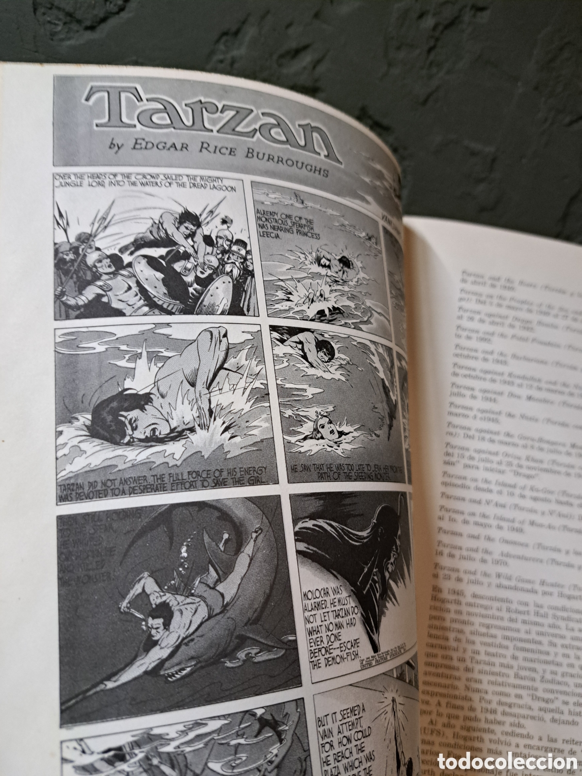 Tebeos: Comic Tarzan de los monos. Burne Hogarth - Foto 5