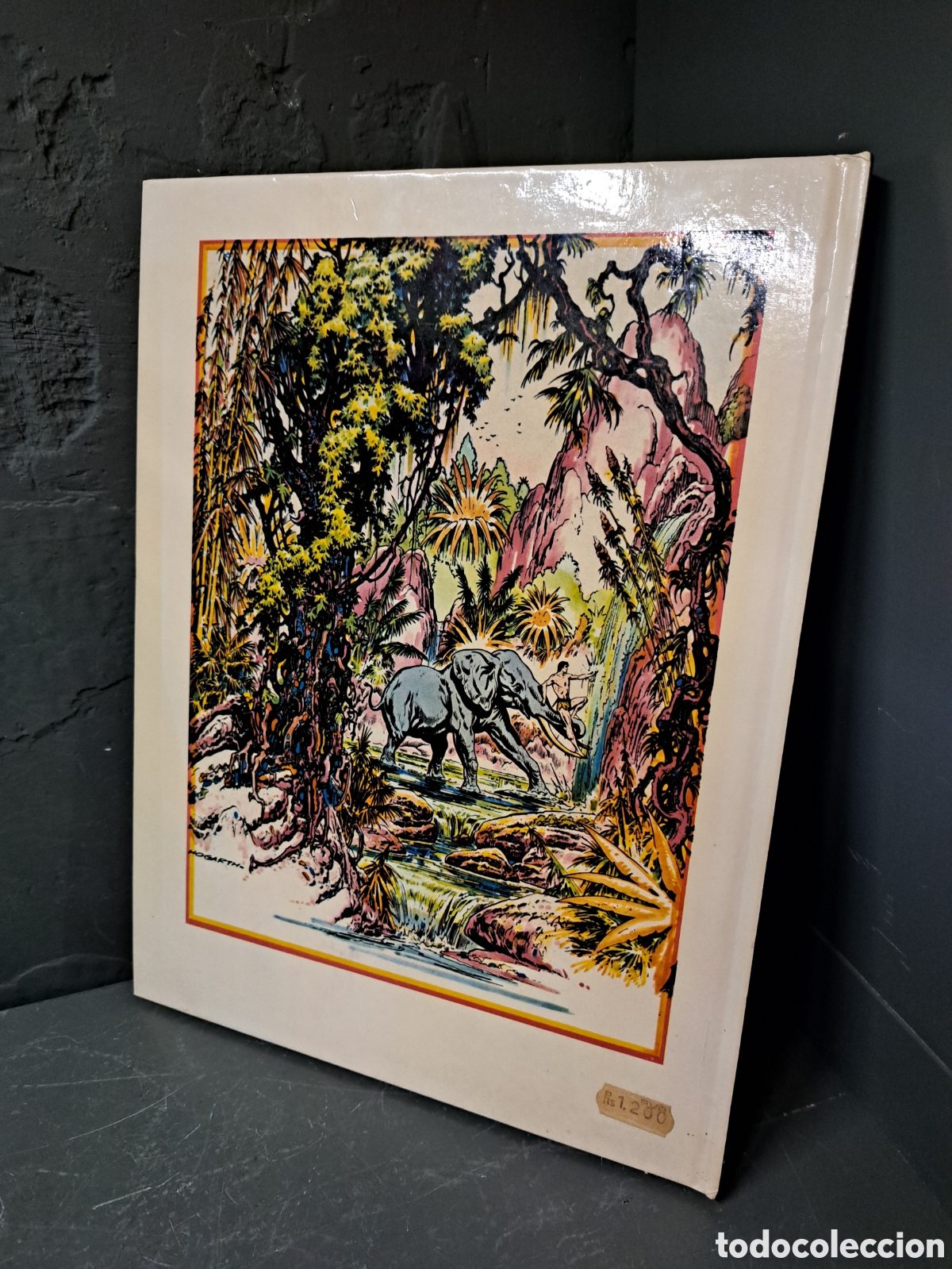 Tebeos: Tarz&agrave;n de la selva. Burne Hogarth - Foto 2