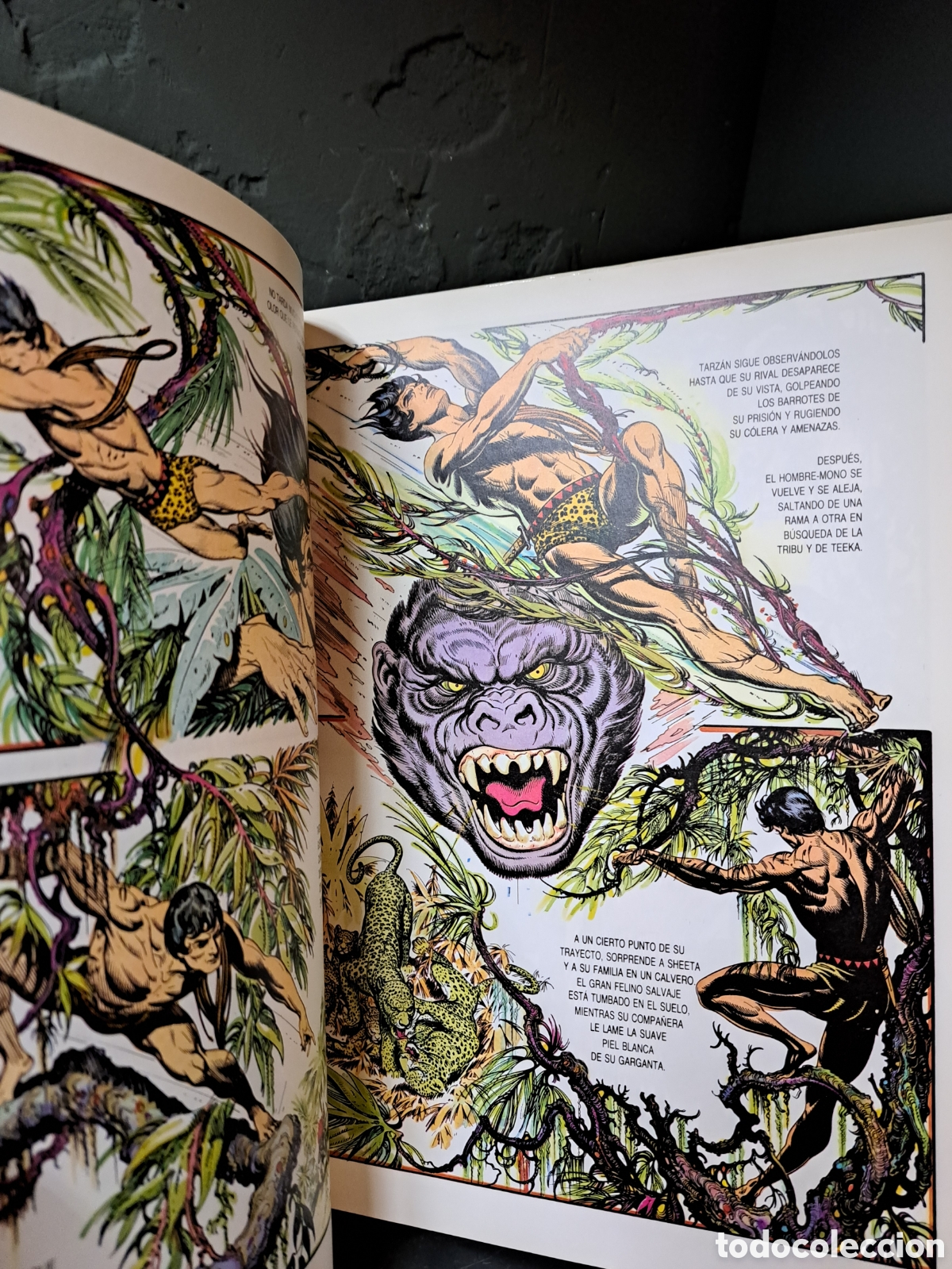 Tebeos: Tarz&agrave;n de la selva. Burne Hogarth - Foto 3