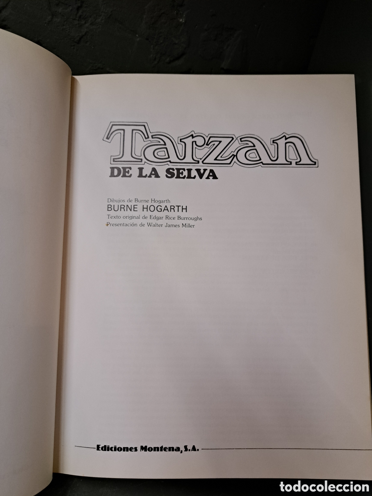 Tebeos: Tarz&agrave;n de la selva. Burne Hogarth - Foto 5