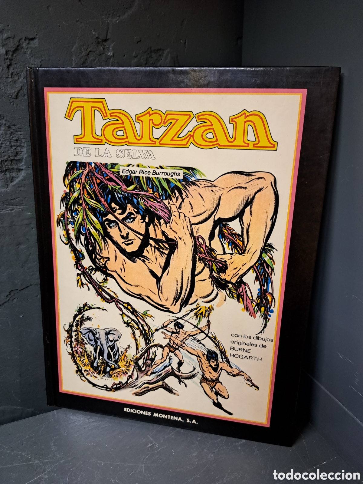 Tebeos: Tarz&agrave;n de la selva. Burne Hogarth - Foto 1