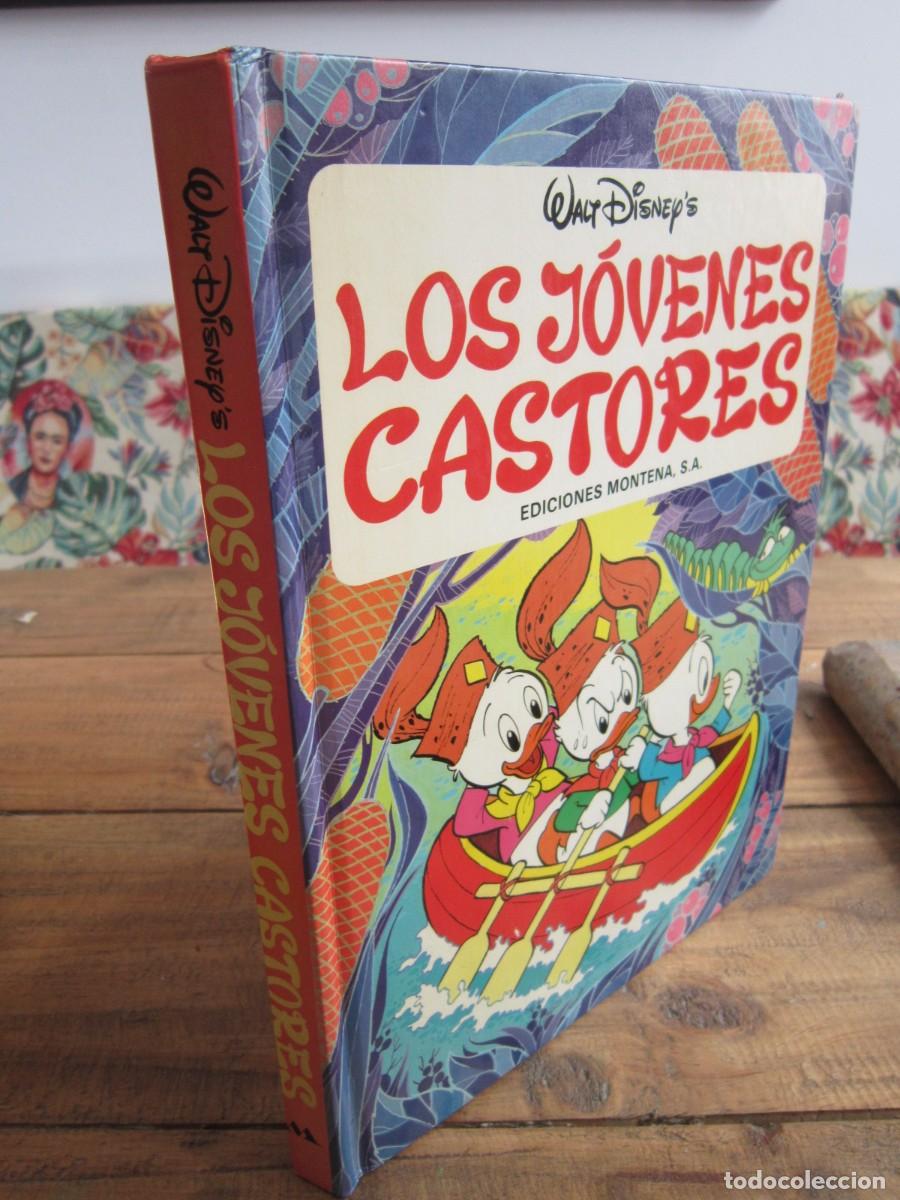 Tebeos: LOS JOVENES CASTORES. WALT DISNEY. EDICIONES MONTENA 1981 TAPA DURA 27X20 CMS, 122 PAGS