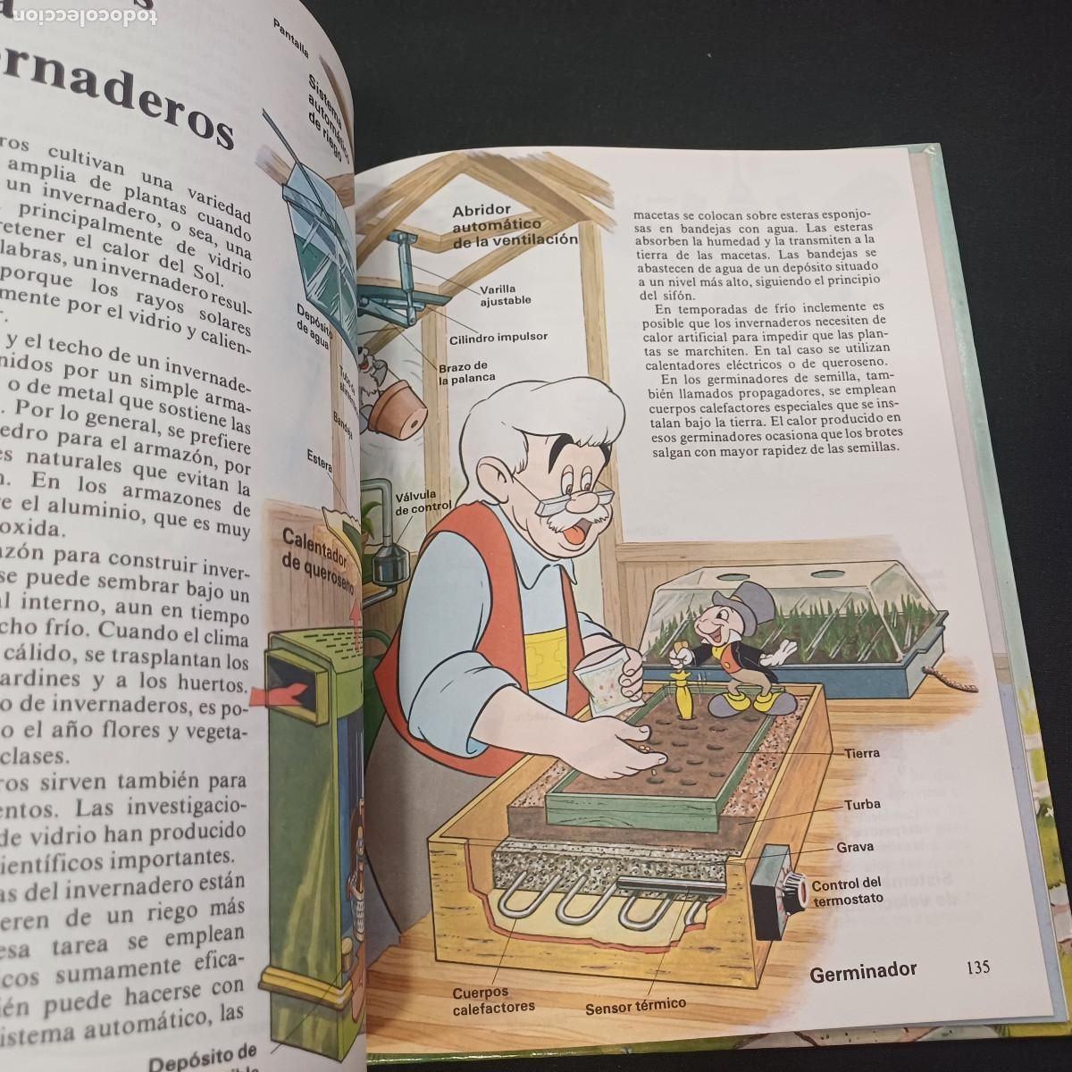 Tebeos: COMO FUNCIONA/EN EL HOGAR/MONTENA-WALT DISNEY. - Foto 3
