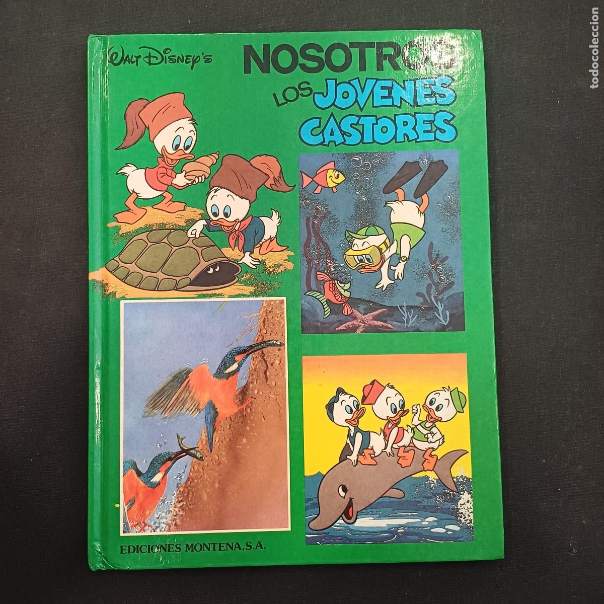 Tebeos: NOSOTROS LOS JOVENES CASTORES/MONTENA-DISNEY.