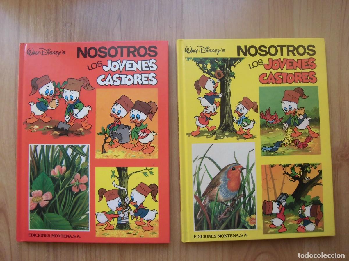 Tebeos: LOTE DOS TOMOS NOSOTROS LOS J&Oacute;VENES CASTORES WALT DISNEY MONTENA 1984