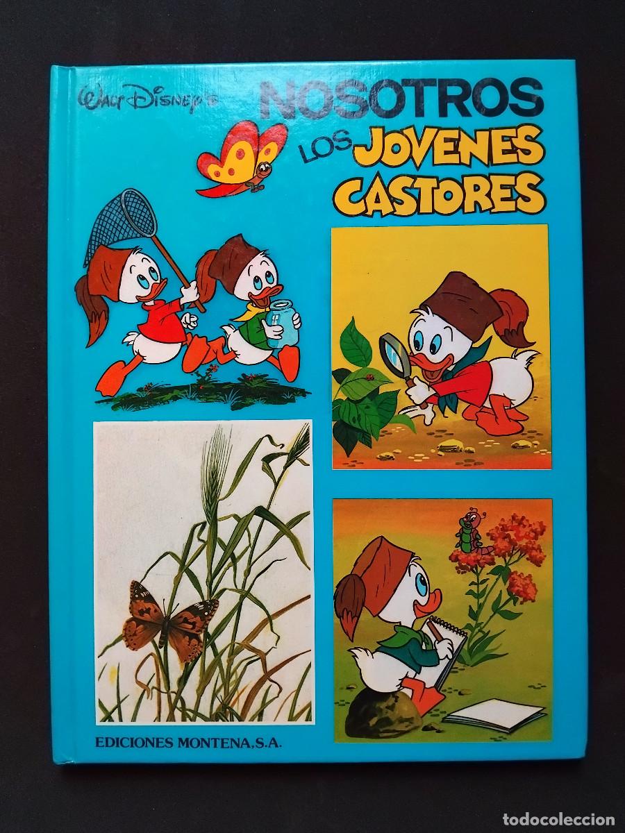 Tebeos: NOSOTROS LOS JOVENES CASTORES WALT DISNEY PRODUCTIONS - Tapa DURA - 1984 EDICIONES MONTENA TEBEO